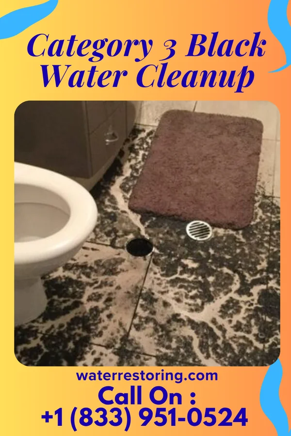 Category 3 Black Water Cleanup in Creswell, OR